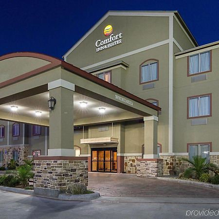 Comfort Inn & Suites Monahans I-20 Bagian luar foto
