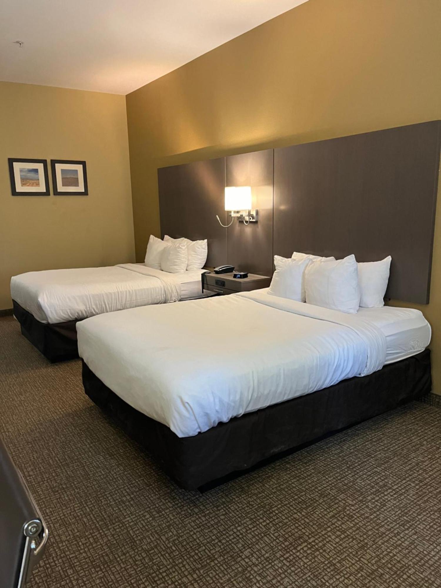 Comfort Inn & Suites Monahans I-20 Bagian luar foto