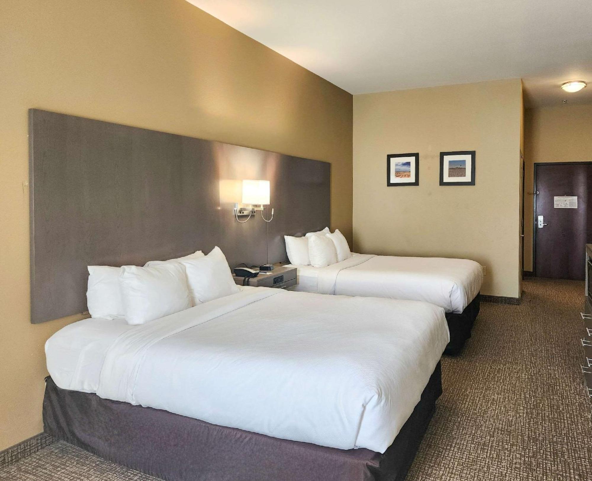 Comfort Inn & Suites Monahans I-20 Bagian luar foto